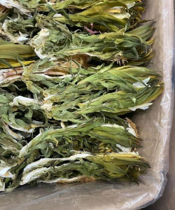 小众送妈妈的花有哪些花