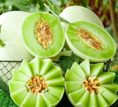 小众送妈妈的花有哪些花