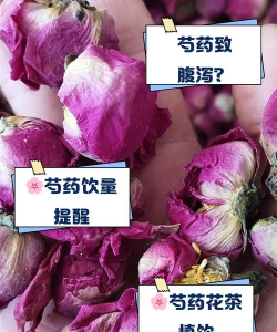 小众送妈妈的花有哪些花
