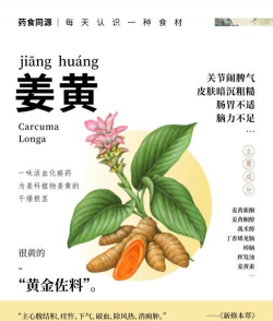 大黄姜栽培技术全解析：从选种到收获的科学管理方案