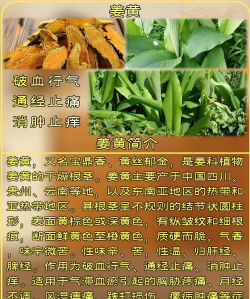 黄姜用什么肥料最好用大黄姜高产种植施肥技术全解析（含季节与地区方案）