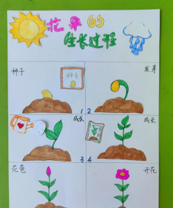 小众送妈妈的花有哪些花