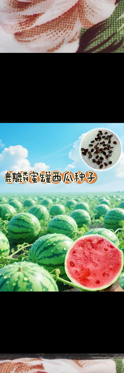 麒麟蜜罐小西瓜怎么种高产优质种植技术全解析（附季节与地区适配方案）