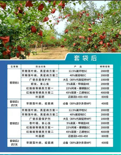 红富士苹果亩产多少科学种植技术详解与高产管理方案