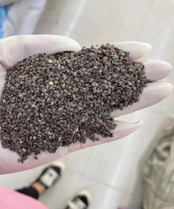 小众送妈妈的花有哪些花