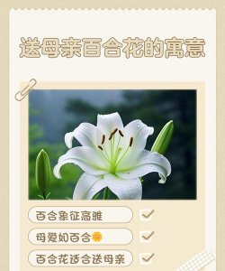 小众送妈妈的花有哪些花