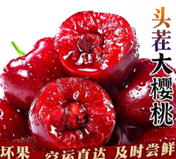 大连美早樱桃采摘关键技术与季节化管理方案