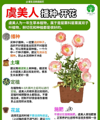 小众送妈妈的花有哪些花