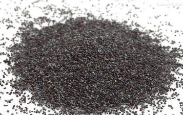 小众送妈妈的花有哪些花