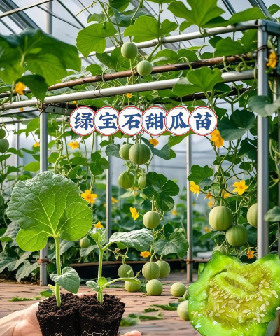 小众送妈妈的花有哪些花