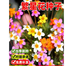 小众送妈妈的花有哪些花