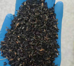 小众送妈妈的花有哪些花