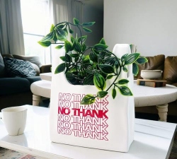 小众送妈妈的花有哪些花