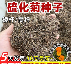 小众送妈妈的花有哪些花