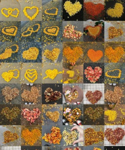 小众送妈妈的花有哪些花