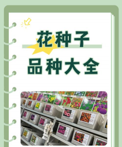 小众送妈妈的花有哪些花