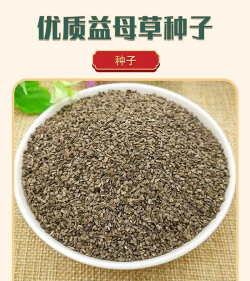 益母花种子特征 益母花种子特征