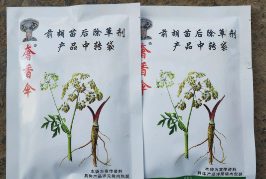 白花前胡的种植技术