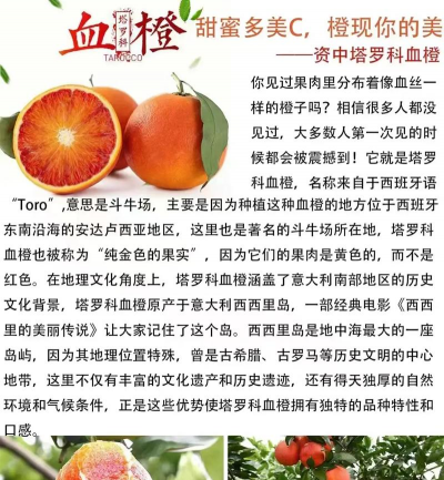 血橙几年挂果权威解析不同地区与季节下的种植技术及管理方案