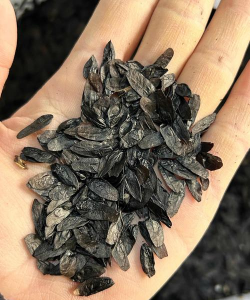 小众送妈妈的花有哪些花