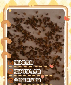 小众送妈妈的花有哪些花