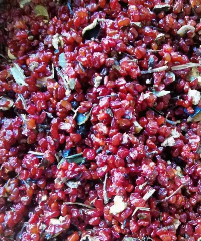 小众送妈妈的花有哪些花