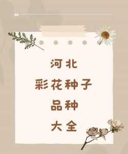 小众送妈妈的花有哪些花