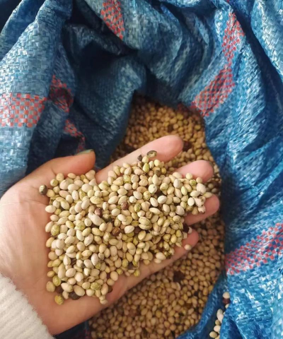 小众送妈妈的花有哪些花