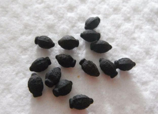 小众送妈妈的花有哪些花