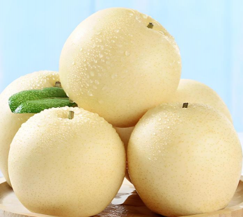 皇冠梨几月份种植技术详解：不同季节与地区的科学管理方案