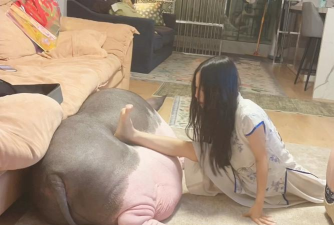 小众送妈妈的花有哪些花