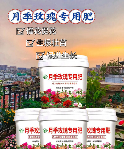 小众送妈妈的花有哪些花