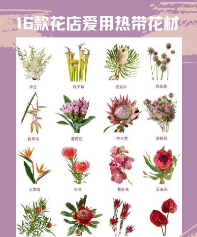 小众送妈妈的花有哪些花