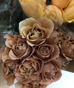 小众送妈妈的花有哪些花