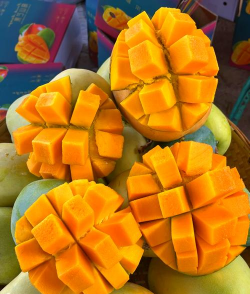 攀枝花有哪些水果