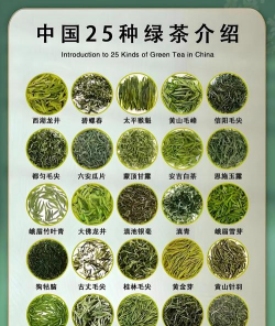 绿茶的种类