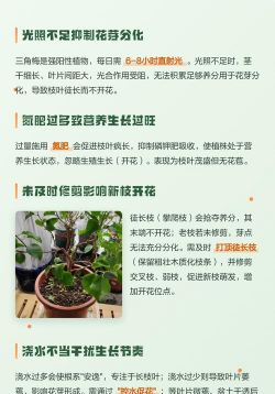 小众送妈妈的花有哪些花