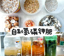 小众送妈妈的花有哪些花