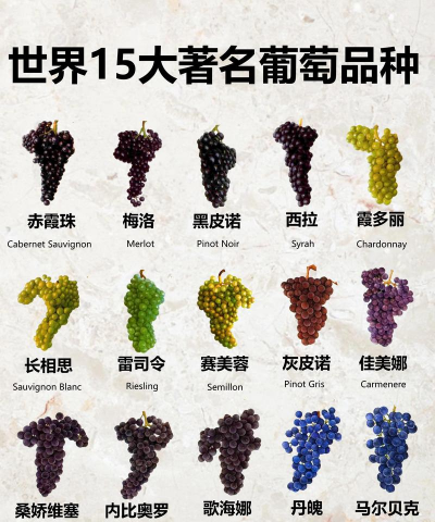 小众送妈妈的花有哪些花