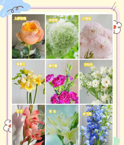 小众送妈妈的花有哪些花