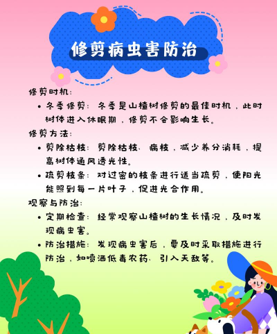 山楂树怎么种植