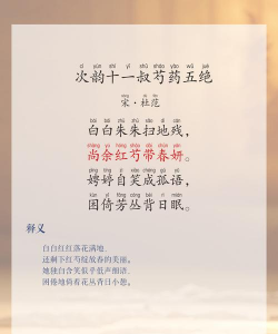 小众送妈妈的花有哪些花