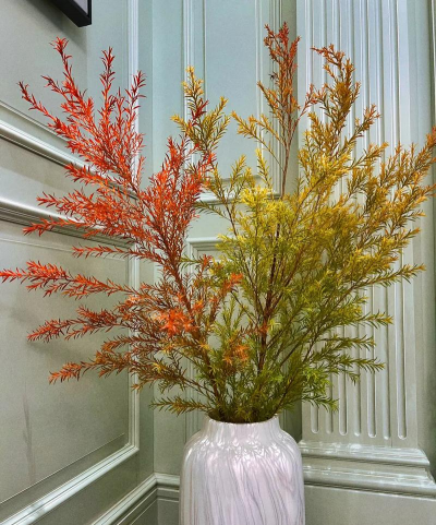 小众送妈妈的花有哪些花