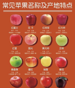 苹果果实类型
