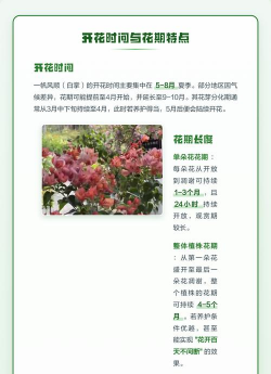 小众送妈妈的花有哪些花