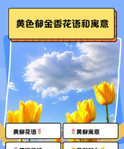 小众送妈妈的花有哪些花