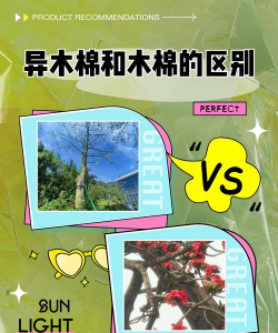 异木棉和木棉的区别
