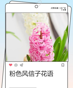 小众送妈妈的花有哪些花