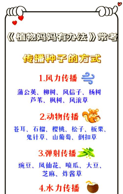 还有哪些植物妈妈有办法传播种子