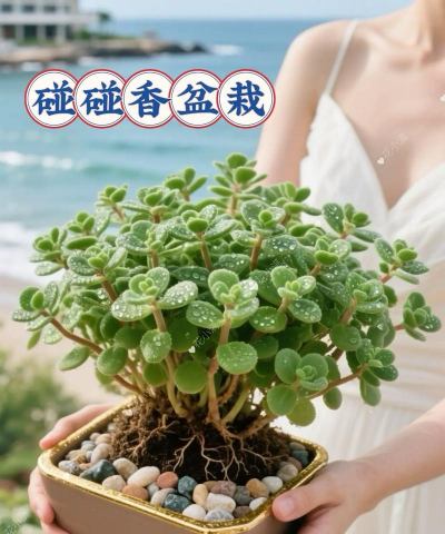 小众送妈妈的花有哪些花